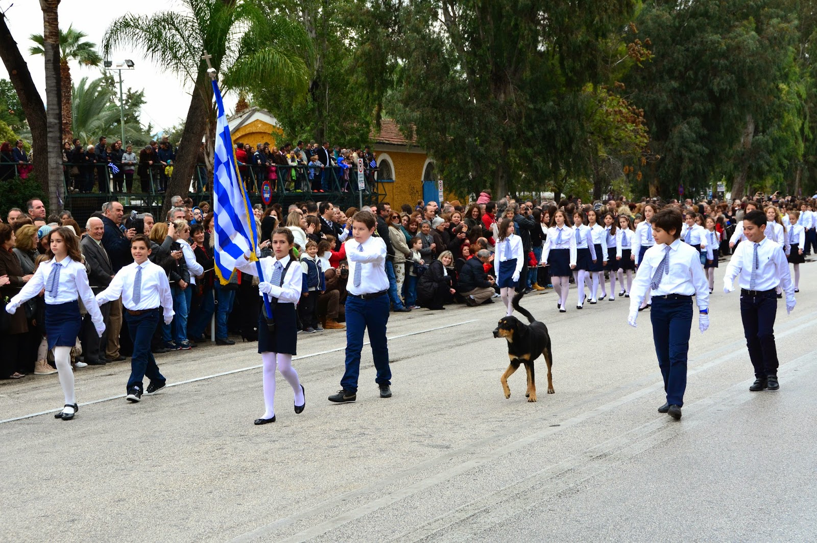 Ο σκύλος που… παρέλασε στο Ναύπλιο [pics]