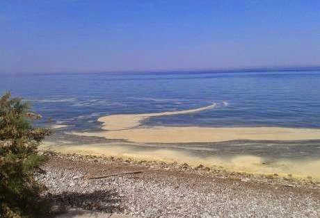 Η Περιφέρεια απαγορεύει το κολύμπι στην πλαζ μέχρι να έρθει η ανάλυση των δειγμάτων – Αχαΐα