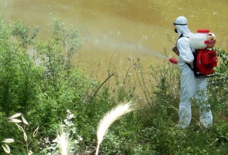 Ψεκασμός κατά των εντόμων σήμερα – Αχαΐα