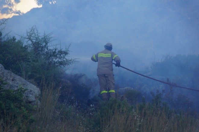 Πυρκαγιά σε δασική έκταση στα Βίλια Αττικής