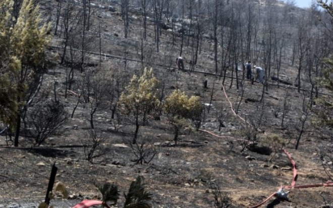 Οι πυρκαγιές και η συμβολή των Ένοπλων Δυνάμεων