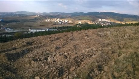 Κάλεσμα Δήμου Παύλου Μελά για δενδροφύτευση στην Ευκαρπία