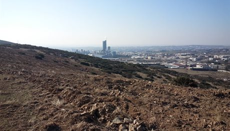 Θεσσαλονίκη: Σήμερα αλλάζουμε την πόλη με… 5.000 δέντρα! (ΦΩΤΟ)