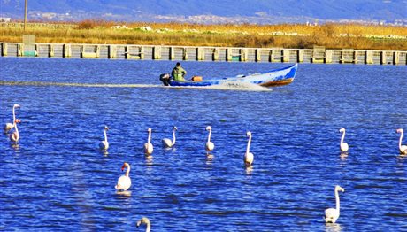 Εστιασμένη στους μαθητές η φετινή «Παγκόσμια Ημέρα Υγροτόπων»