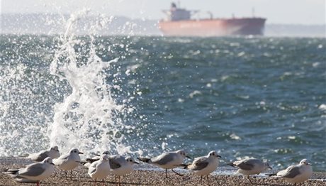 Καιρός στη Θεσσαλονίκη: Καλό μας μήνα, με ηλιοφάνεια!