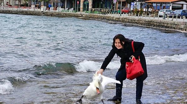 Τουρίστρια σκότωσε έναν κύκνο προσπαθώντας να βγάλει φωτογραφία (ΦΩΤΟ)