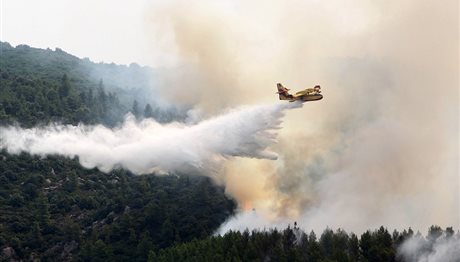 Φωτιά στη Χαλκιδική – Στη μάχη με τις φλόγες και καναντέρ