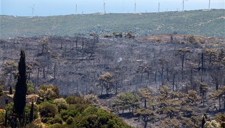 Τετραετής φυλάκιση με αναστολή σε 46χρονο για εμπρησμό εξ αμελείας