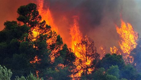 Υπό μερικό έλεγχο η πυρκαγιά στην Λίμνη Βόλβης