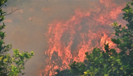 Φωτιά ξέσπασε στο Άγιον Όρος σήμερα το πρωί