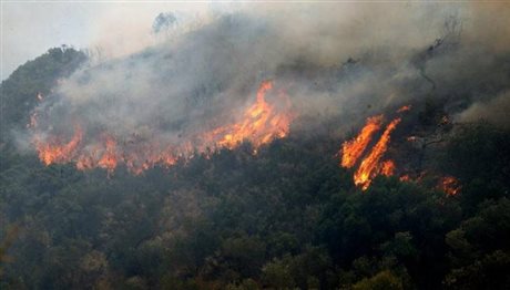 Μαίνεται η φωτιά στη Θάσο – Μάχη με τις φλόγες και στο Άγιο Όρος