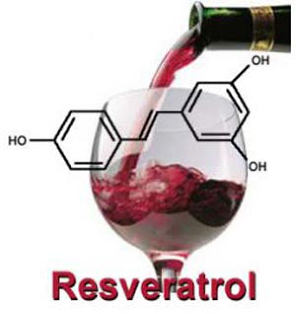 Μελέτη βρήκε ότι ενώσεις του κόκκινου κρασιού επιβραδύνουν τη γήρανση των μυών και των νευρώνων