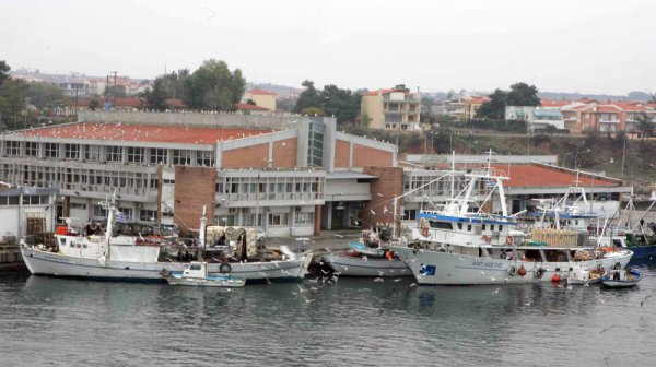 Κατάσχεση αλιευμάτων χθες στην ιχθυόσκαλα Νέας Μηχανιώνας