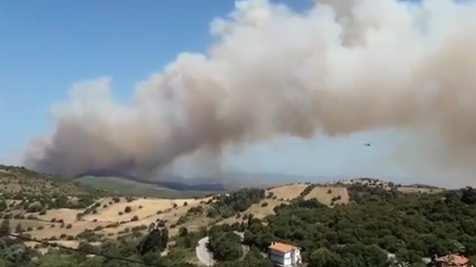 Φωτιά στην Εύβοια: Συνελήφθη κάτοικος για εμπρησμό