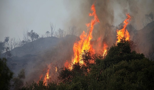 Σύλληψη 24χρονου για εμπρησμό στην Αρκαδία