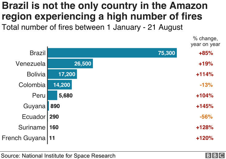 Πόσο σοβαρή είναι η κατάσταση με τις φωτιές που καίνε τον Αμαζόνιο