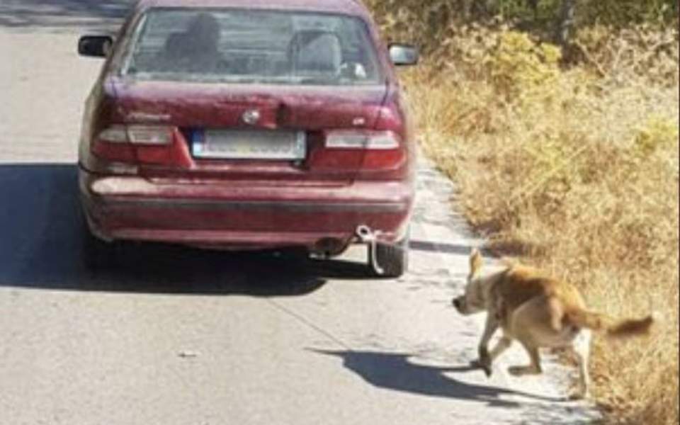 Ρέθυμνο: Συνελήφθη ο 73χρονος που έσερνε σκύλο με το αυτοκίνητό του