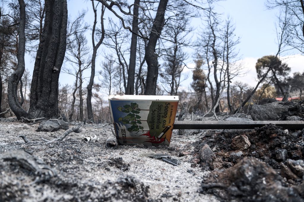 Φωτιά στην Εύβοια: Καταρρίπτεται το άλλοθι του βασικού υπόπτου