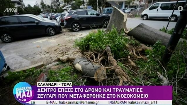 Χαλάνδρι: Δέντρο έπεσε στο δρόμο και τραυμάτισε ζευγάρι (βίντεο)