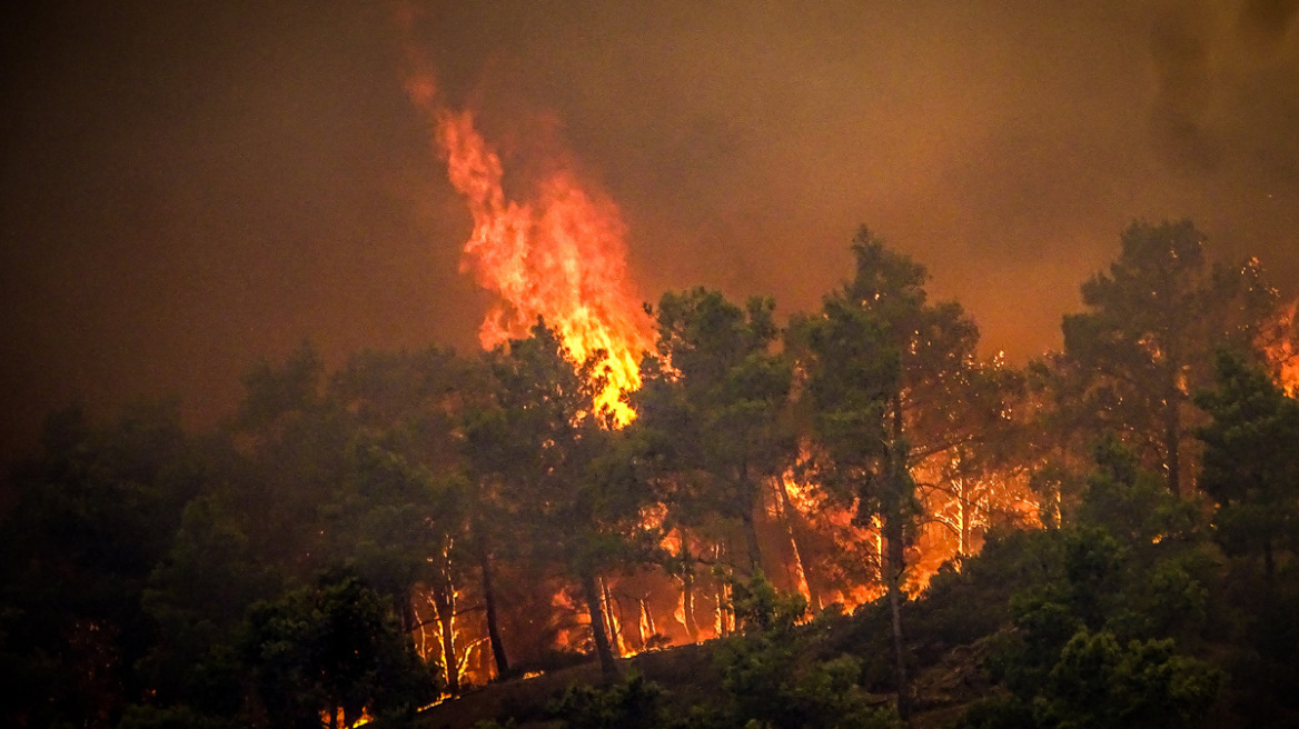 Φωτιά σε δασική έκταση στο Πανόραμα Δράμας